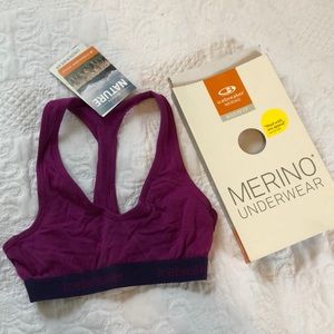 Icebreaker Merino wool sports bra